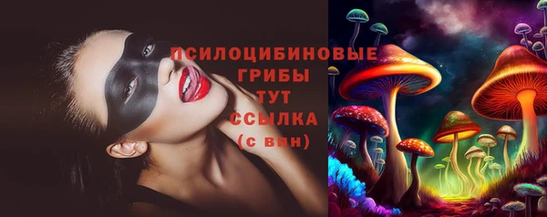 индика Алексеевка