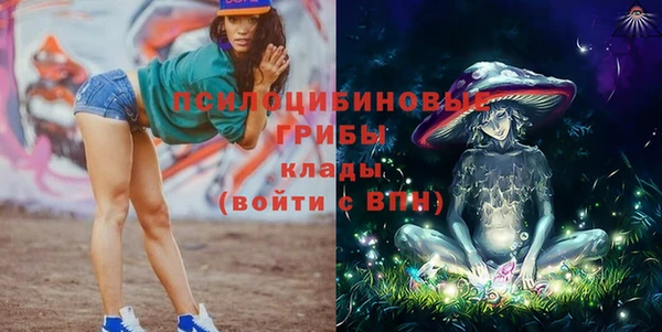 первитин Алексин