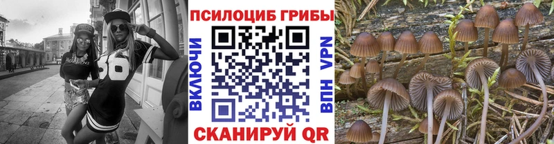 сколько стоит  Зарайск  гидра ссылки  Псилоцибиновые грибы ЛСД 